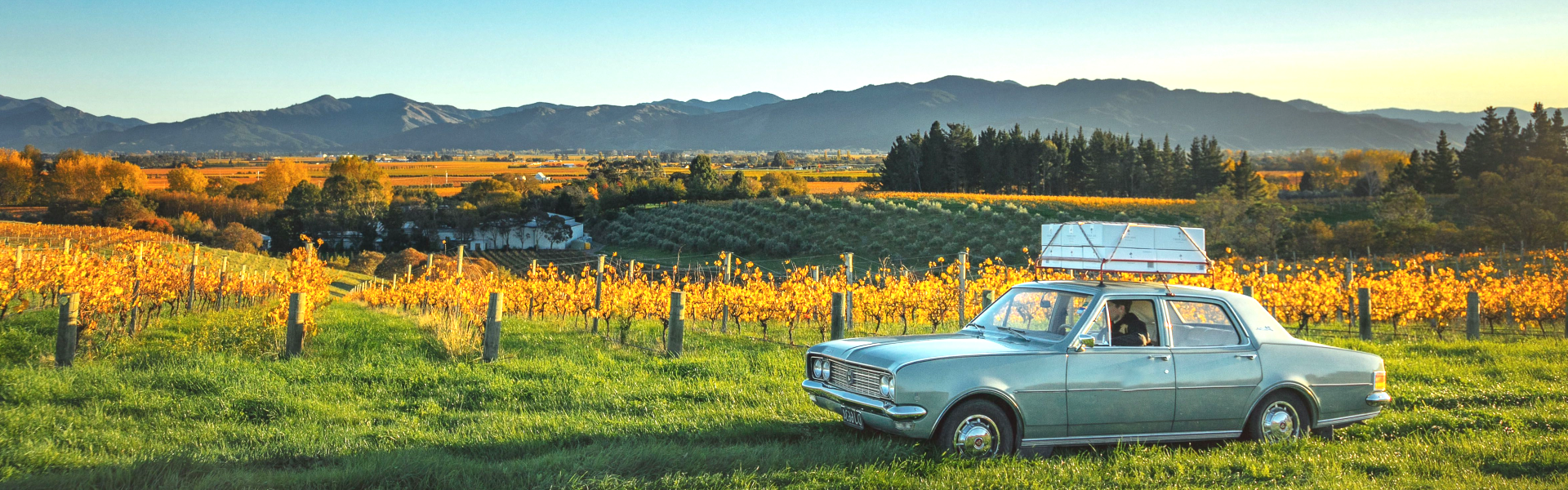 Image of car, wine and vineyard